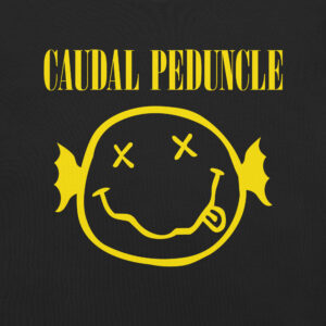 CP Spirit T-Shirt